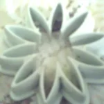 Snapshot of me 4.webp