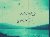 images (11).webp