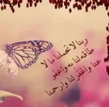 images-15.webp