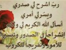 IMG_٢٠١٧٠٤٠٨_٢٢٣١٥٨_٤٢٧.JPG