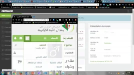 net.webp