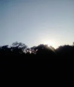 IMG_20170413_183951.webp
