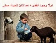images.webp