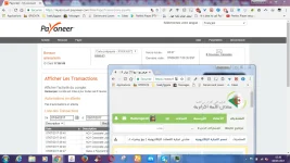 PAYOPP.webp