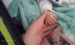 CAM02098.webp