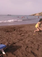 15029014598062111717501.webp
