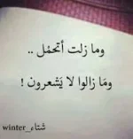 224.webp