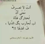 4499.webp
