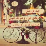 5425.webp