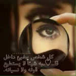5635.webp