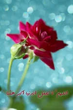 IMG_20170921_214635.webp