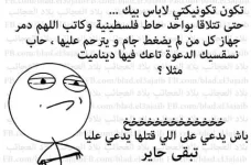 large (4).webp