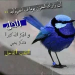 photo.webp