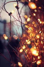 5c51da038db53b4d0161acd5b9075ad3.webp