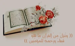 www.ward2u.com-ola-aleslam-68.webp