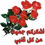 15893942053_f5b0cf49a7.webp