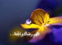 IMG_20170926_213011.webp