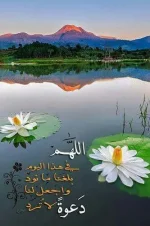 IMG_20171027_223718.webp