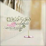 IMG_20171029_073859.webp