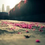 images (5).webp