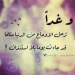 IMG_20171030_165002.webp