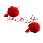 97.gif