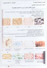 ilyess04@hotmail.com   1.webp