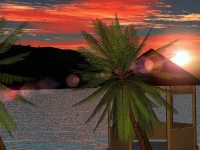Coucherdesoleiletcocotier.webp