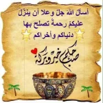 IMG_20171102_090521.webp