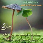 IMG-20170307-WA0016.webp