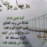 shof_12216419a273d25.webp