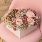 IMG-20171126-WA0017.webp