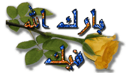 13358009353.gif