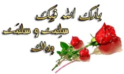 8869.webp