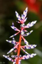 DSC09751.webp