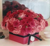 509.webp