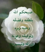 IMG-20171224-WA0011.webp