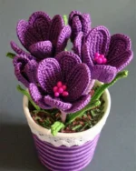 Instagram post by Meme crochet Ⓜ️_BbpcVXVH1np_480x600.webp