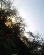 20180105_171954-1.webp