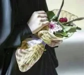 images.webp
