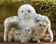 images (5).webp