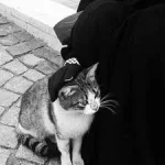 images (5).webp
