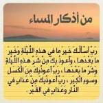 IMG_20180131_212453_533.webp