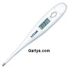 Digital_Thermometer.jpg