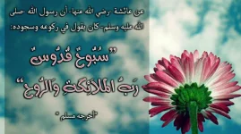 IMG_20180209_194050_412.webp