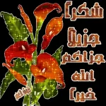 1518613339240.webp