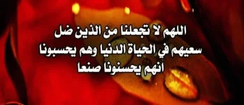 IMG_20180216_123908_110.webp