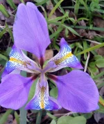 IMG_20180216_160751_001.webp