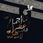 1518860384853.webp
