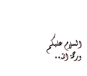 1518969611084.webp